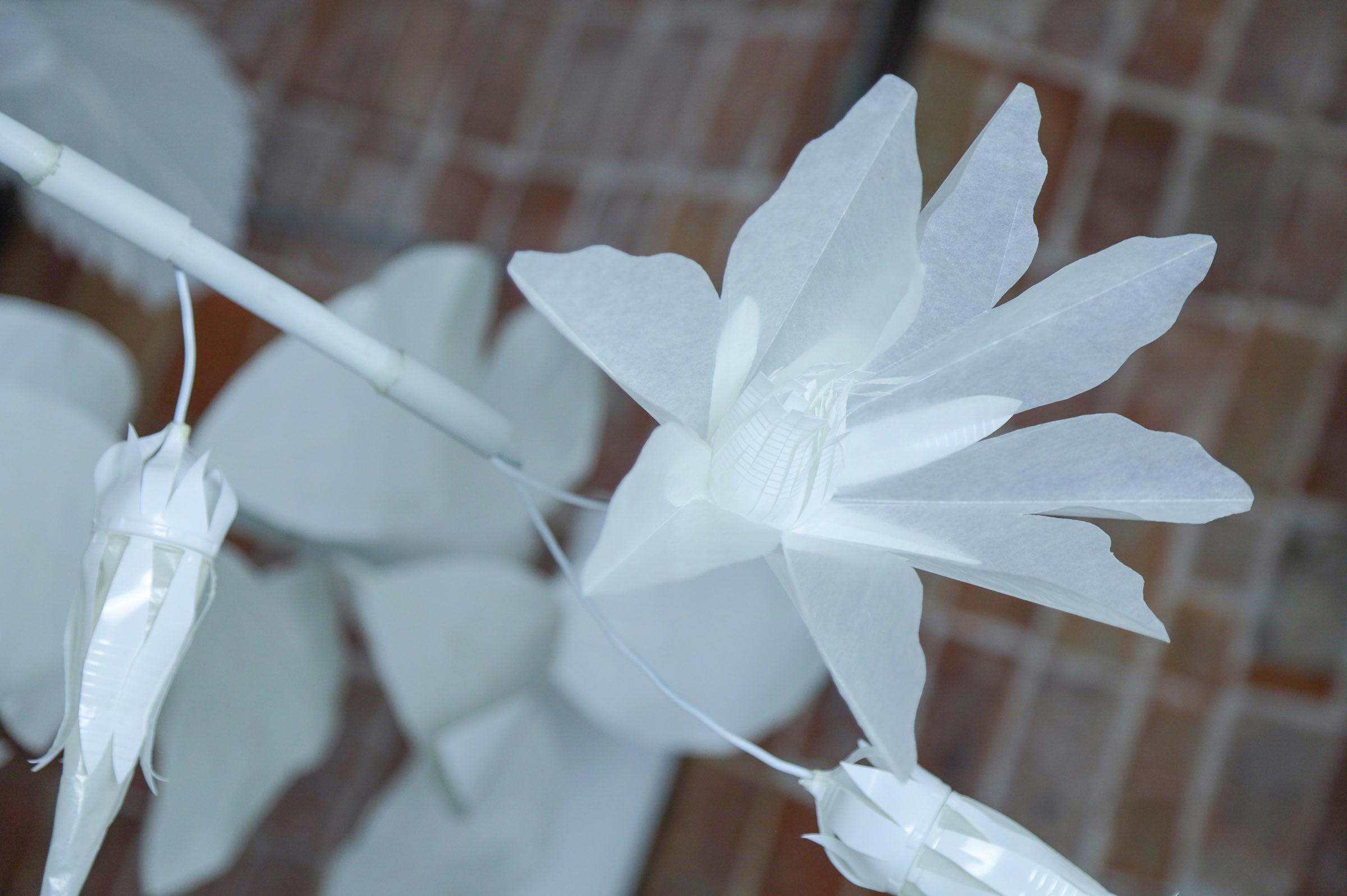 Aquelarre. Capítulo I: de lo cotidiano a lo mágico - Image 4