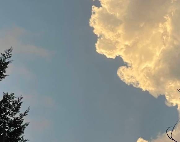 Cómplices Disonantes