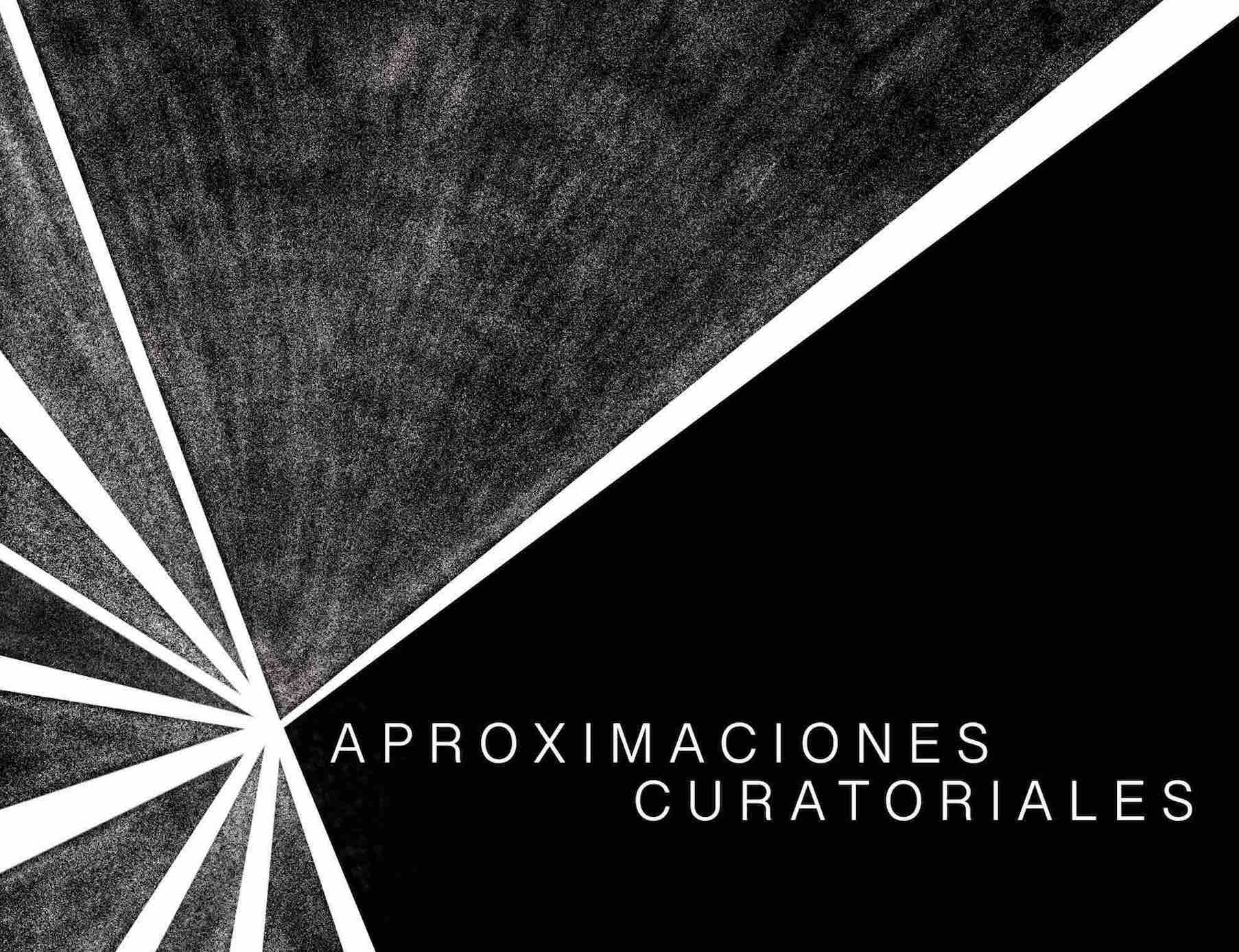 Aproximaciones Curatoriales