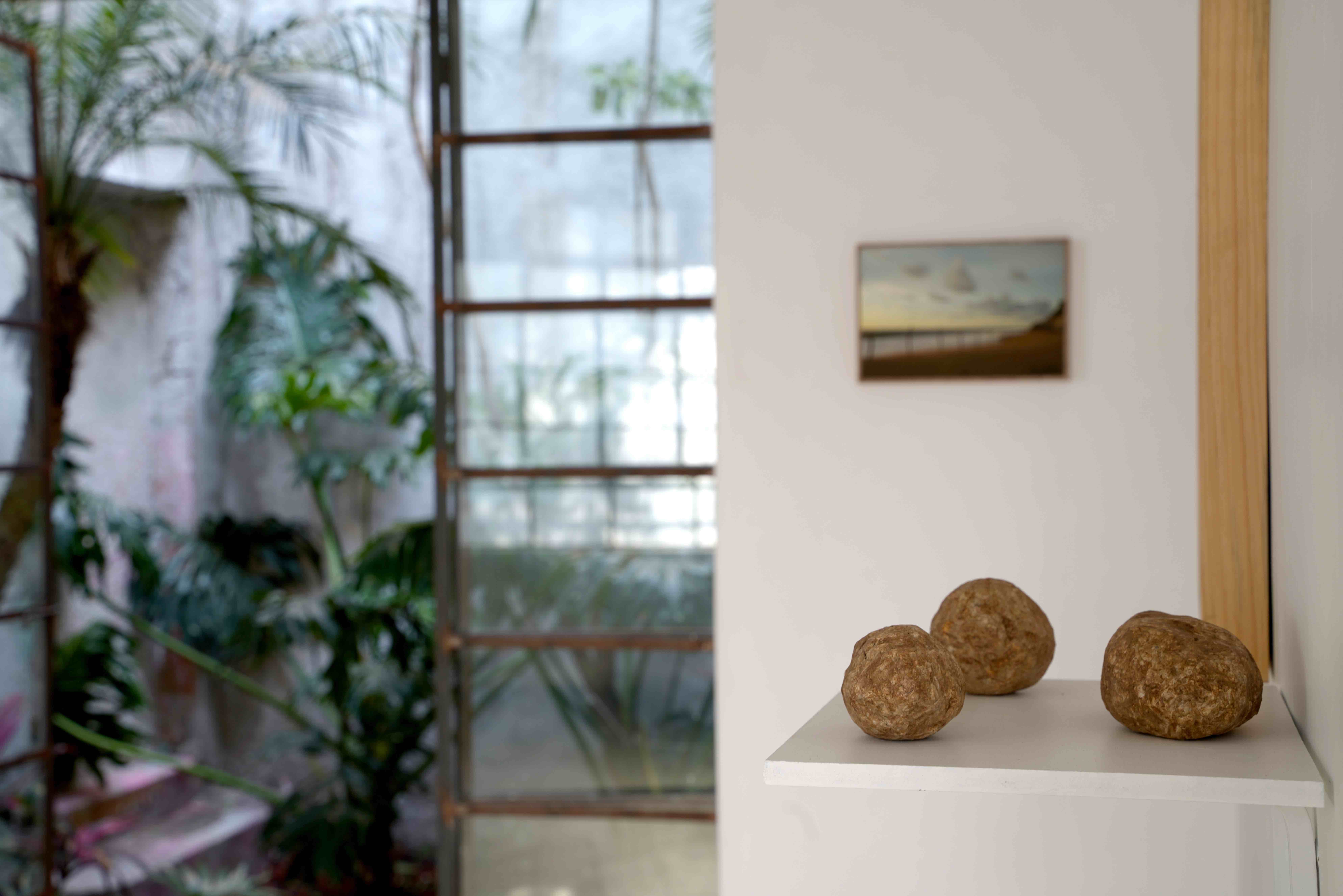 Capitaloceno - Image 4