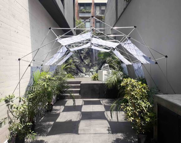 Andrea Carrillo Iglesias