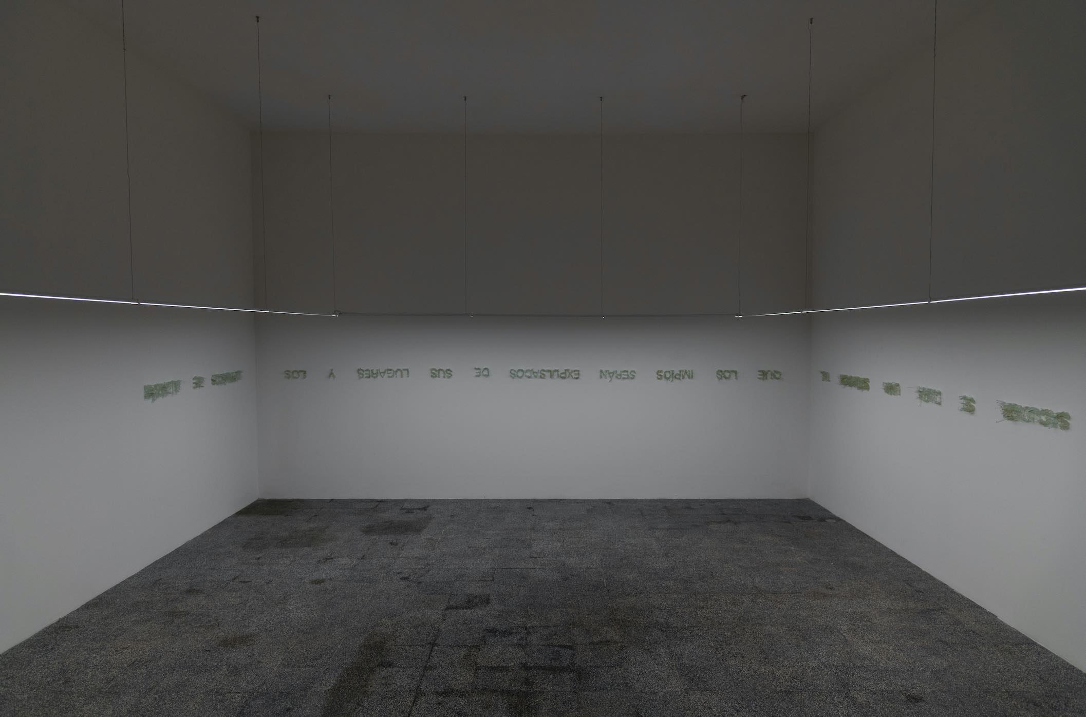 Eugenia Martínez - Image 3