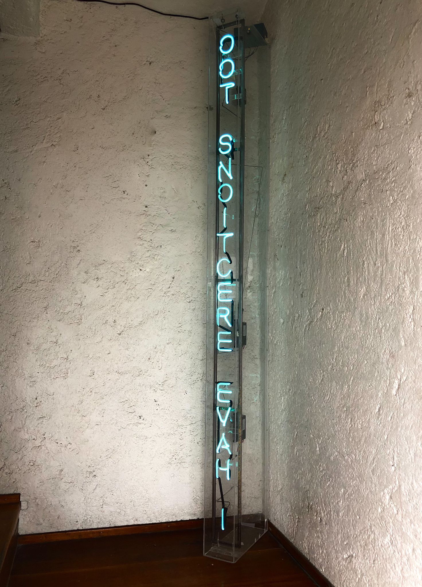 Gwladys Alonzo, I have erections too, 2017. Cortesía de Galería54