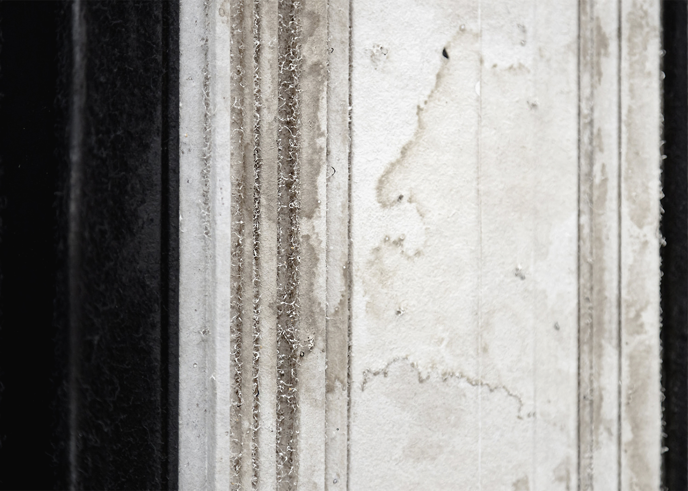 Jorge Usán - Image 4