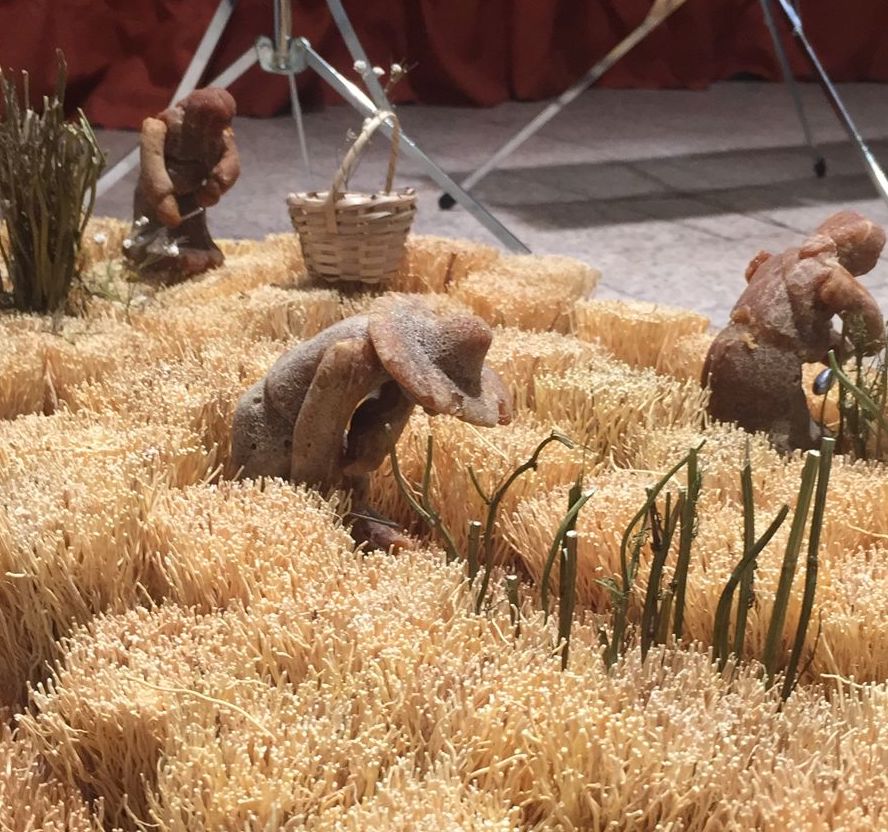 Josué Mejía - Image 3