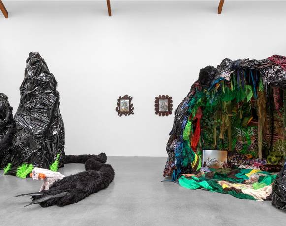 Paloma Contreras Lomas