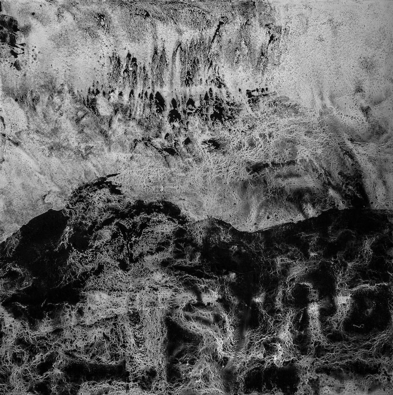 Andrea Bores, Tierra nacida sombra, 2021, carbón sobre papel. Cortesía del artista