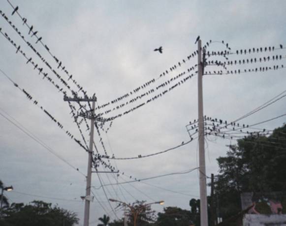 Vibran formas, de los encuentros