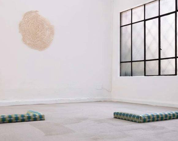 Inmortalizando al cangrejo 