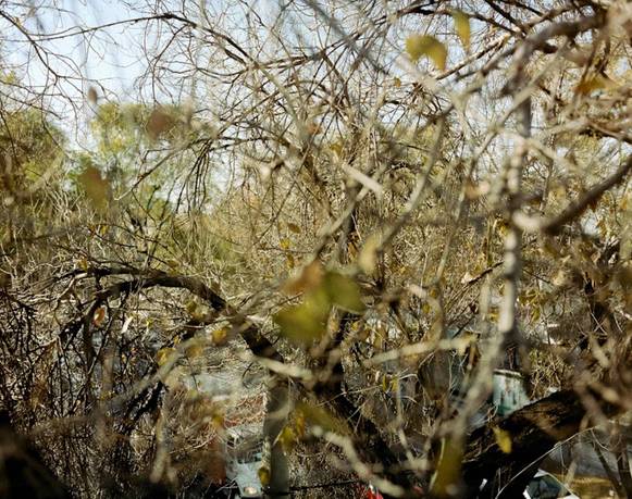 Ricardo Palma Salamanca y Emiliano Aivar