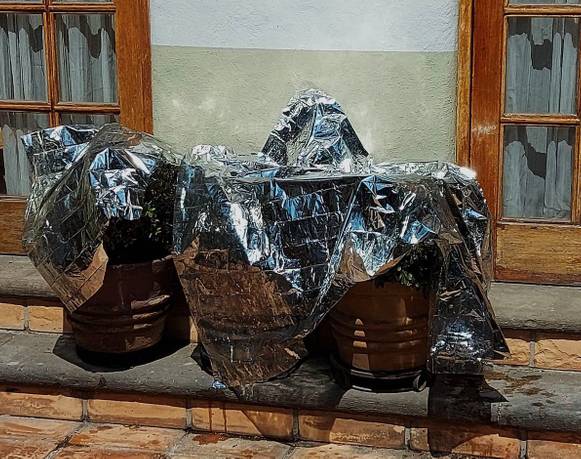 Tiphaine Bonnaud, Cleo Camp & Laila Pathan