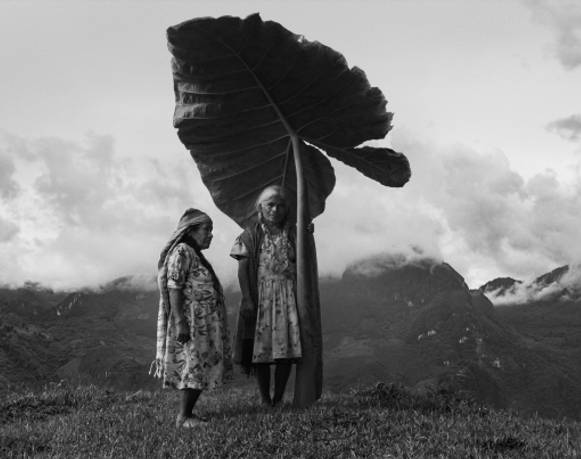 Subasta de fotogramas del filme Dioses de México 