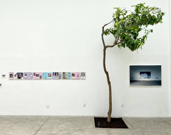 Rehabitar el silencio