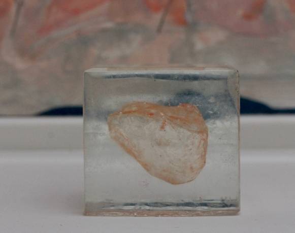 Exposiciones del grupo de residentes