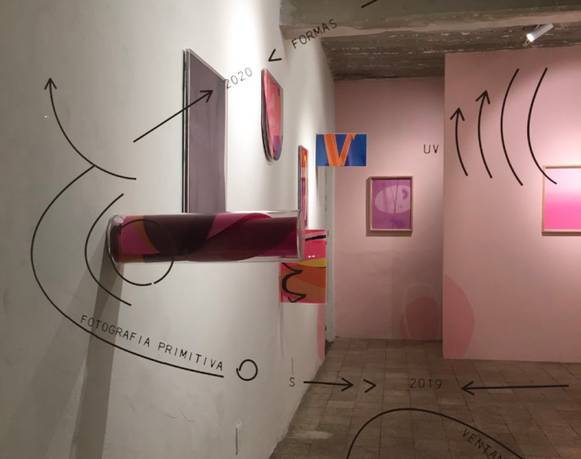 María Cerdá Acebrón 