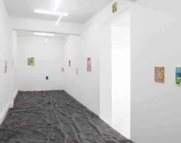 araña perro | Hangout