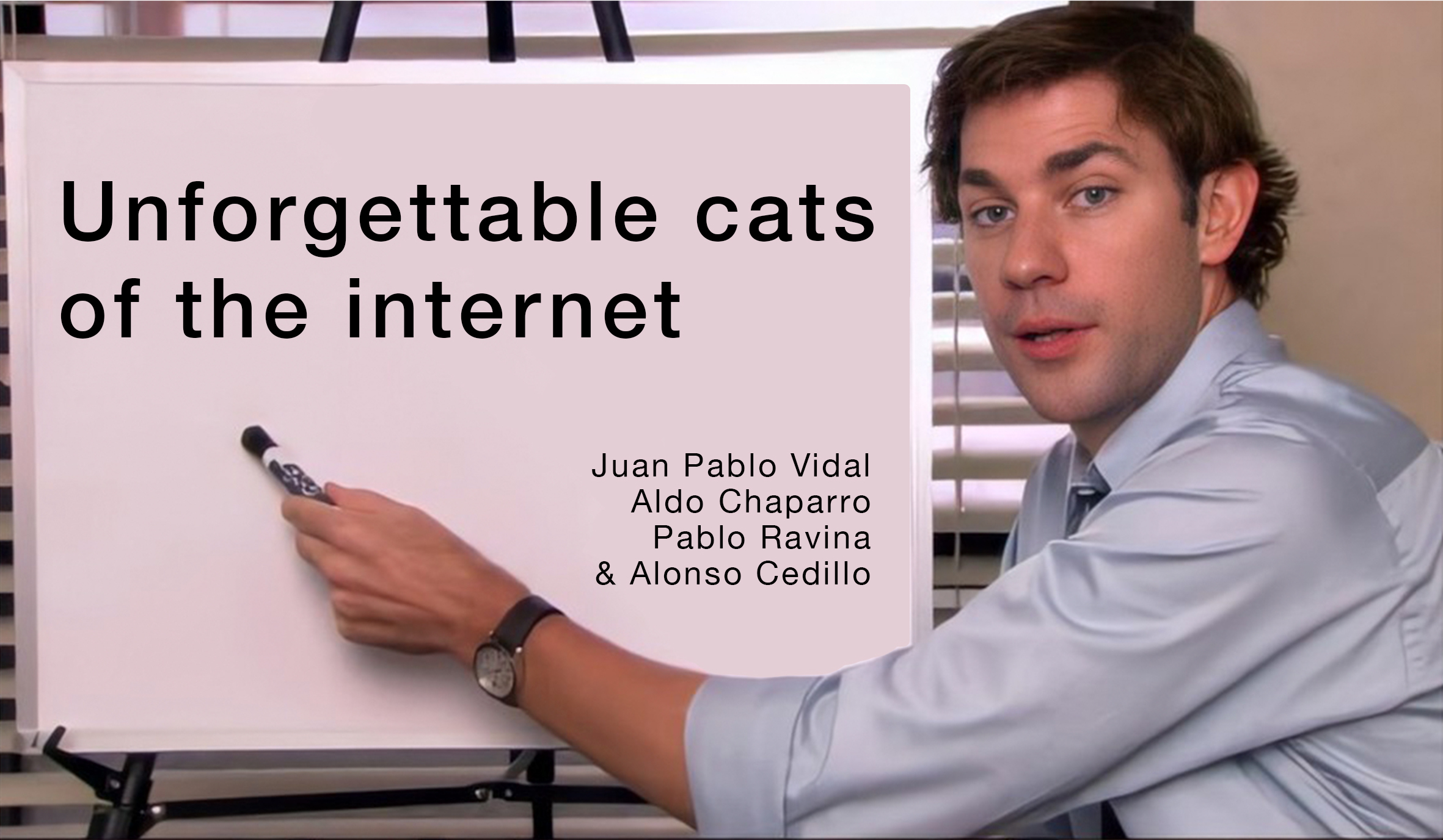 Unforgettable cats of the internet