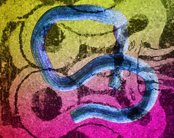 Robert Janitz en el Anahuacalli 