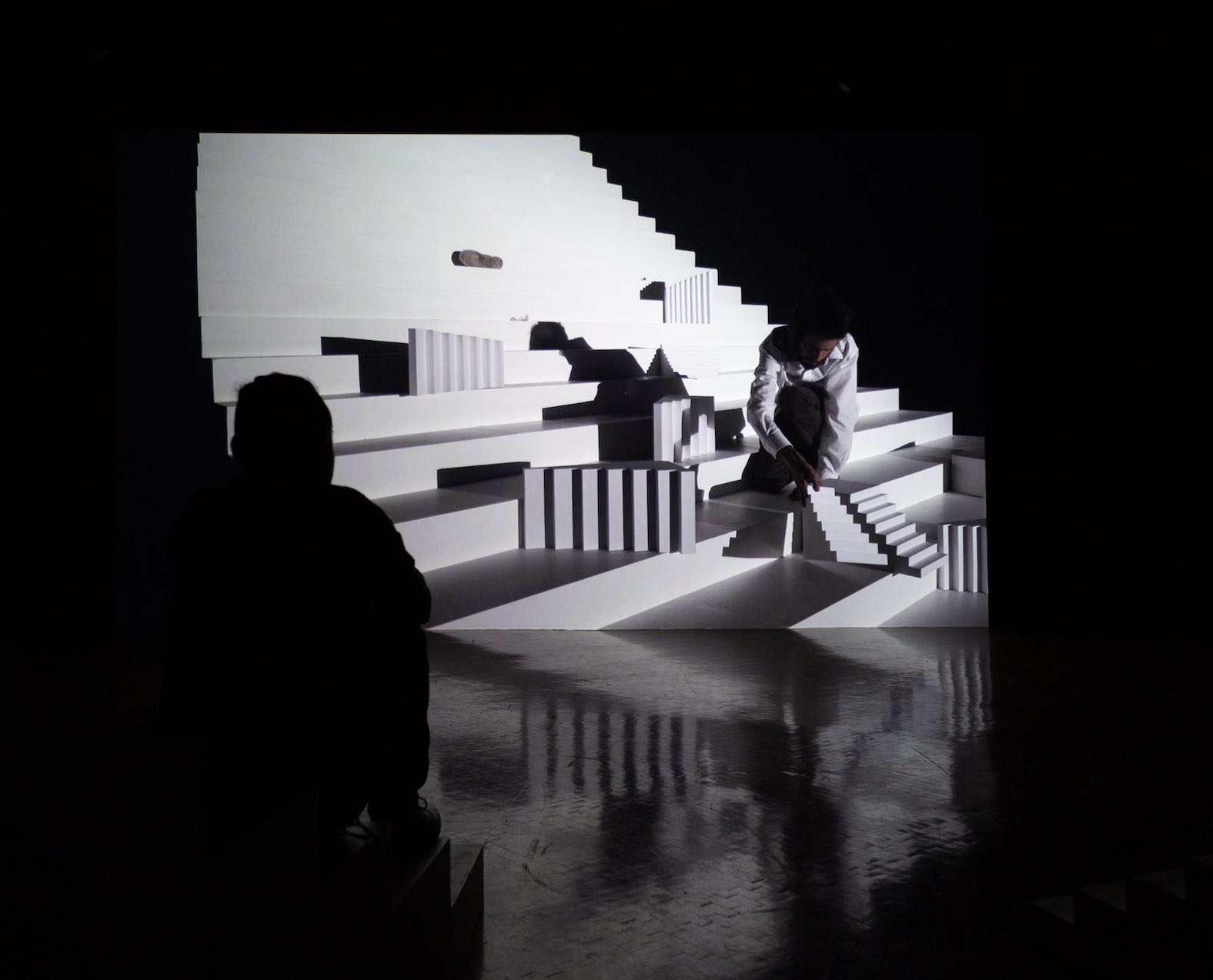 Memories of a Filmic Shadow at 'Limbo Óptico' by Daniel Monroy Cuevas 