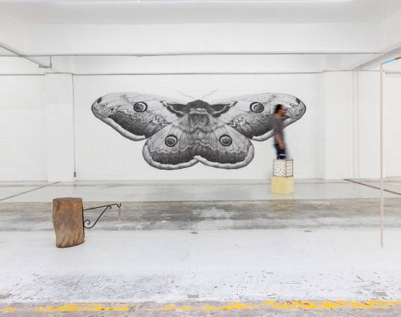 Rodolfo Díaz Cervantes