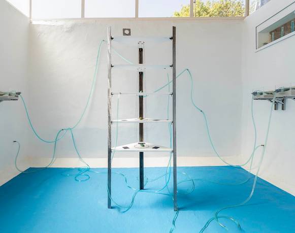 Joshua Merchan Rodríguez