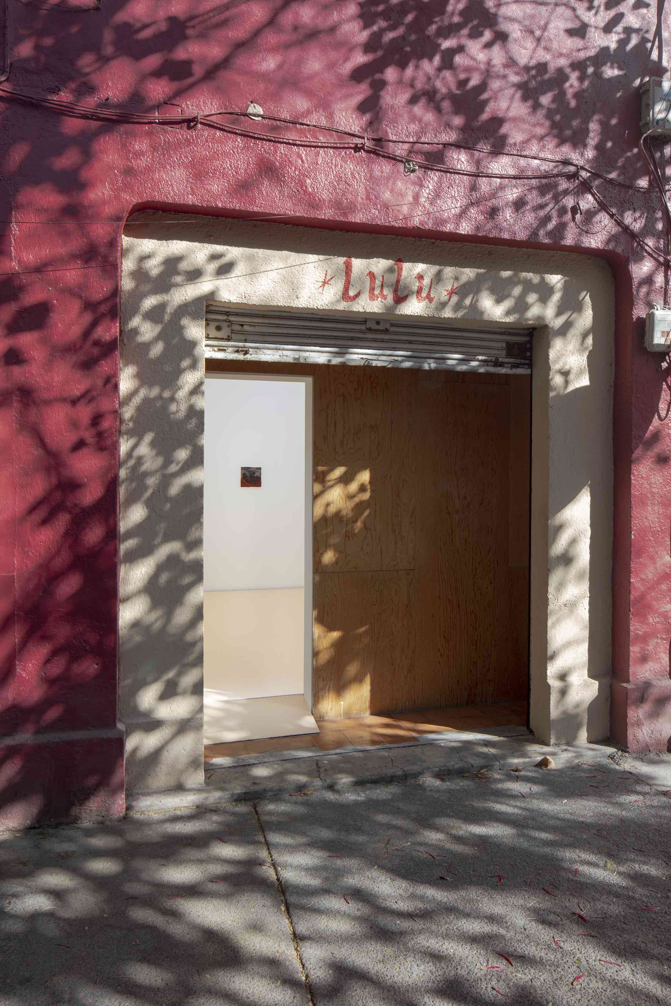 Vista de la exposición de Luz Carabaño, Sombras, Lulu, 2023. Cortesía de Lulu