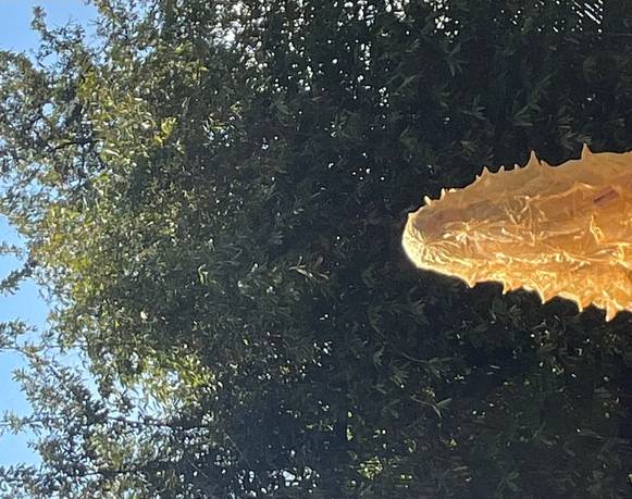 Exposiciones del grupo de residentes 