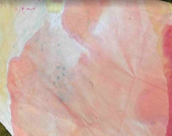 Exposiciones del grupo de residentes 