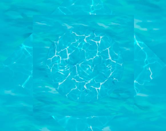 Colectivo Fisual Arts Bowl 