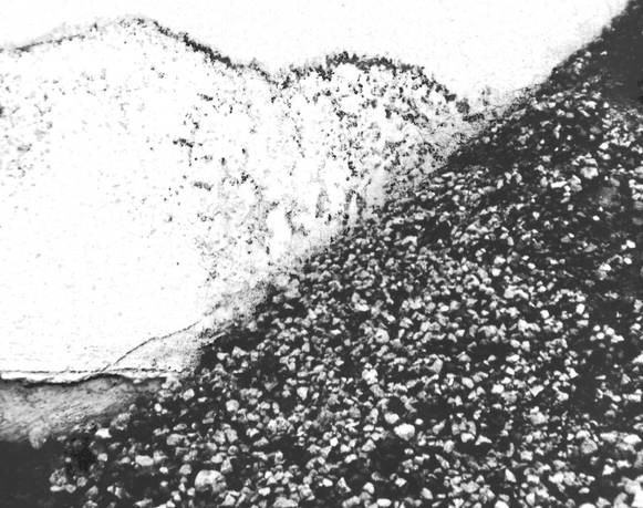 Juan Rafael Coronel Rivera: Mentiras. Paisajes tentativos