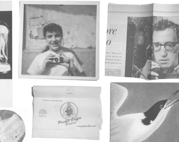 Habitar la biblioteca. Bajo los signos: sobre lenguaje(s)