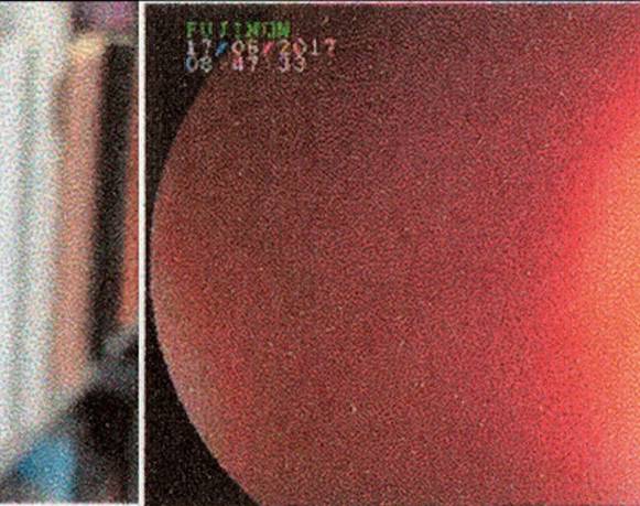 Anaïs Horn y Pedro Zylbersztajn