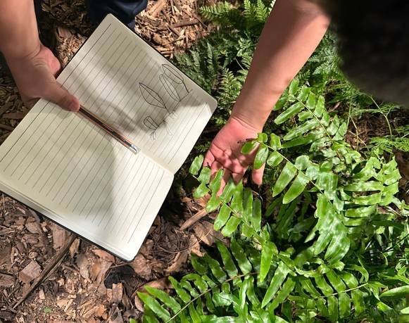Sembrar una casa entre las rocas