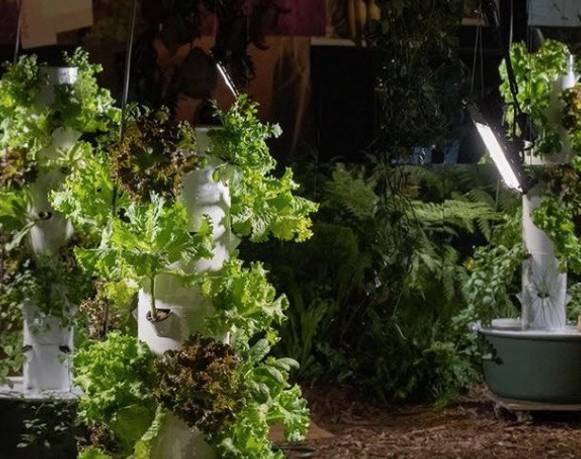 Modern/Mother Nature