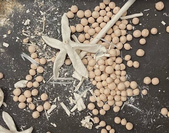 Exposiciones del grupo de residentes 