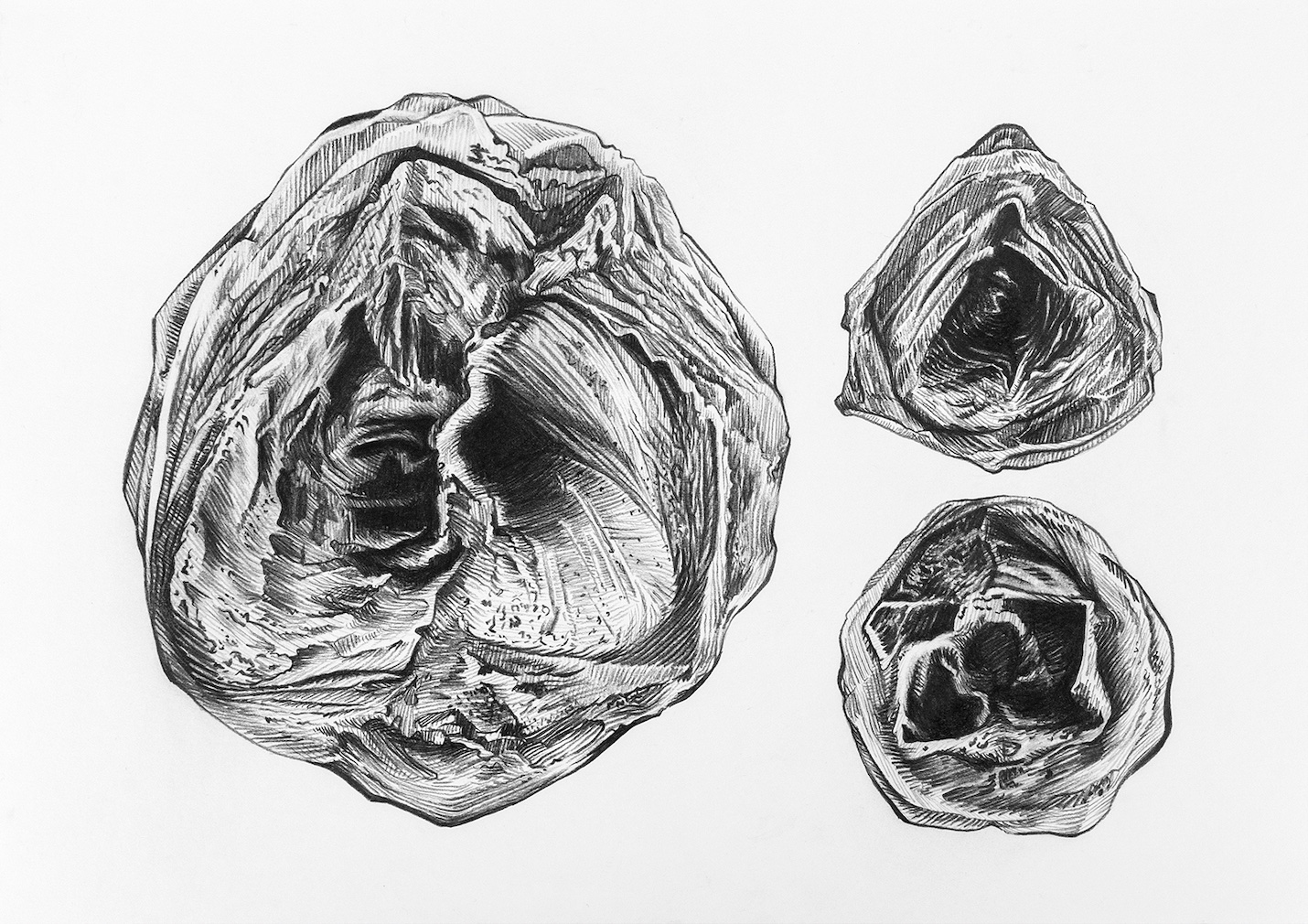 Dulce Chacón, Micrometeoritos, 2019, Lápiz sobre papel, 29.7 x 42 cm. Cortesía de la artista y Banda Municipal. Foto: Abdel Zuñiga López