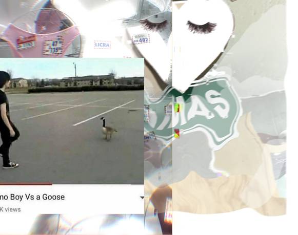 Perritos en biquini y sagitarios emotivos 