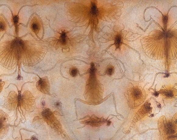 Subasta Arte Moderno y Contemporáneo