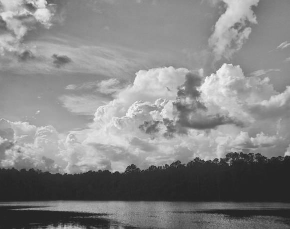 Celso González-Falla