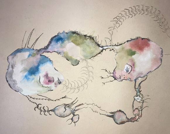 Exposiciones de artistas en residencia