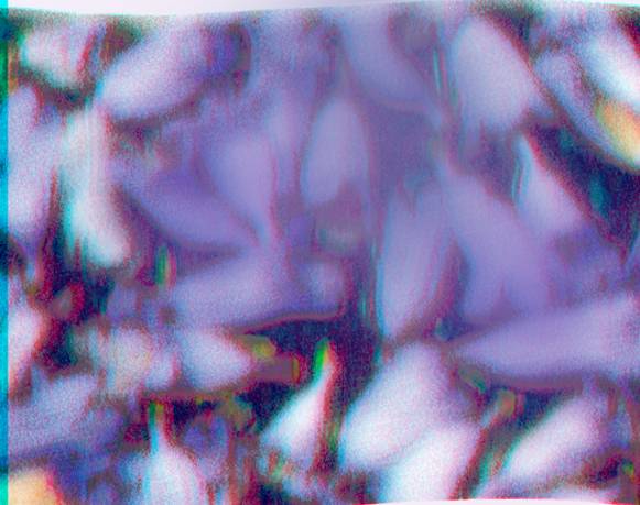 Inician Días Violetas