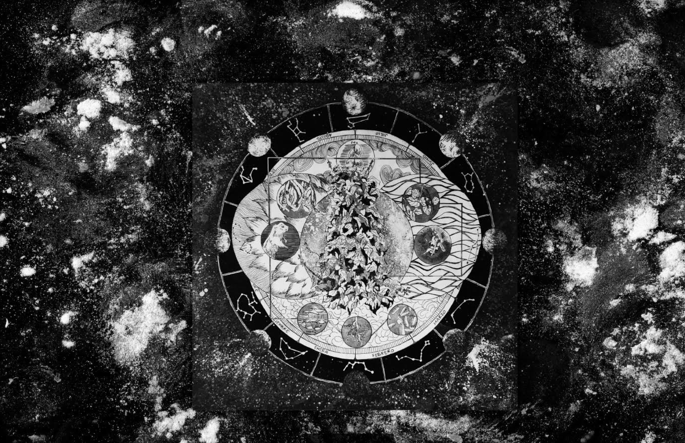 Volcánica 2024 | Bio-mística y la percepción del éxtasis. Desde el Toloache (Datura)