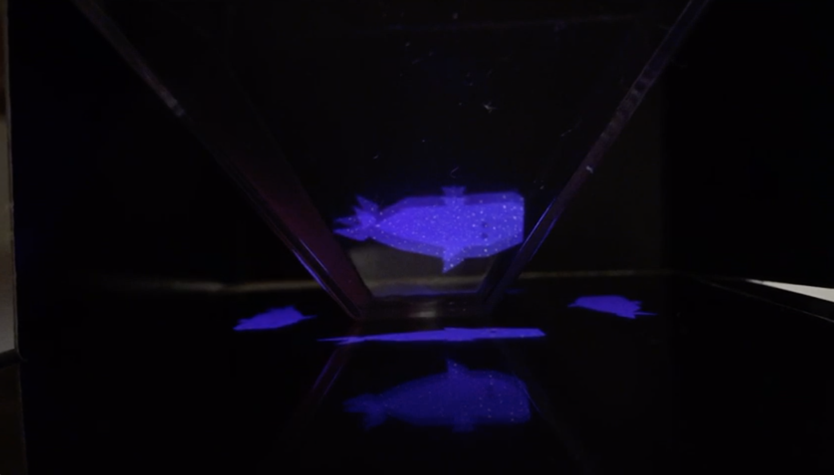 En búsqueda de lo invisible | Taller de hologramas y memes (TRES)