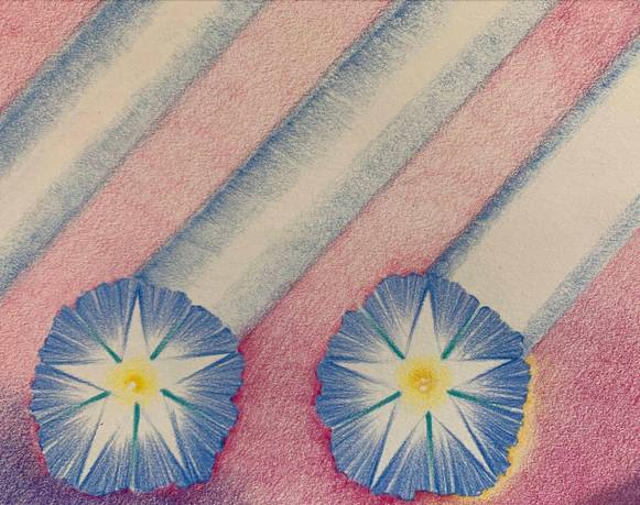 Exposiciones del grupo de residentes 