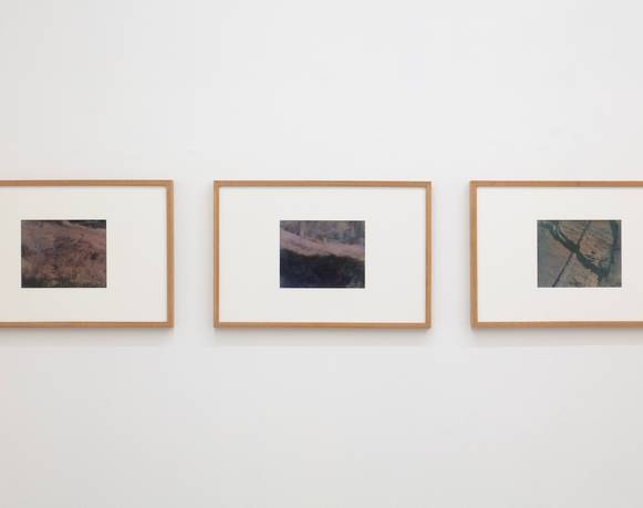  Silvestre Borgatello