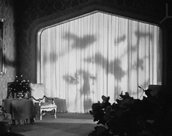 Fabiola Torres-Alzaga