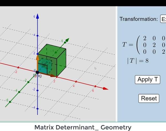 Brando Báez Rodríguez