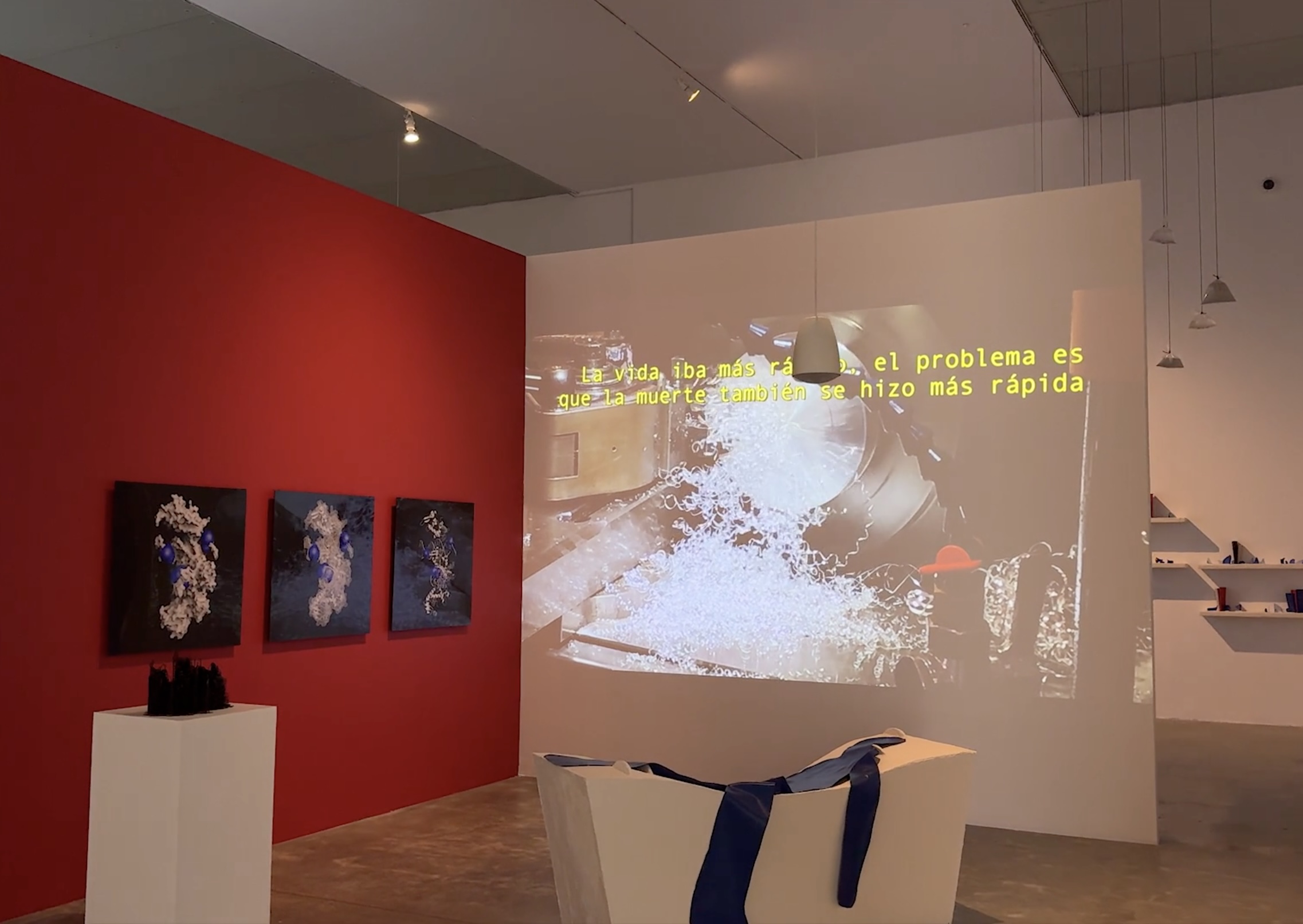 Still from the visual tour of the exhibition “Julieta Aranda. Clear Coordinates for Our Confusion” produced by the Museo Universitario Arte Contemporáneo, MUAC/UNAM. 