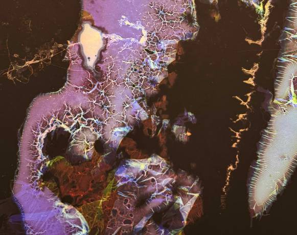 María José Sesma & Omar Gámez