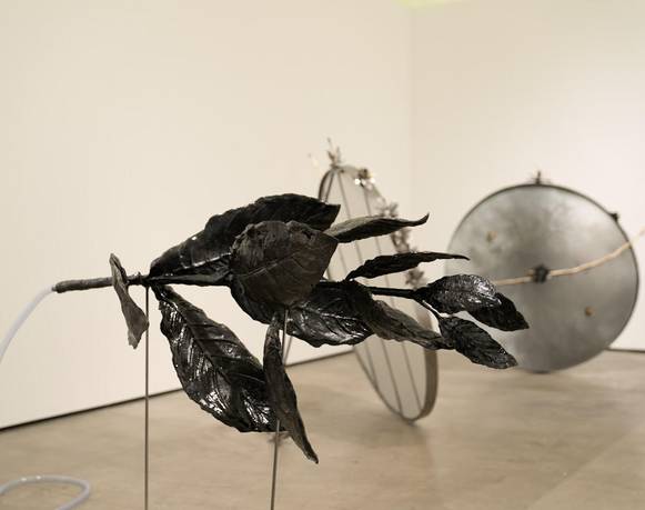 Juan Carlos León & Tania Ragasol